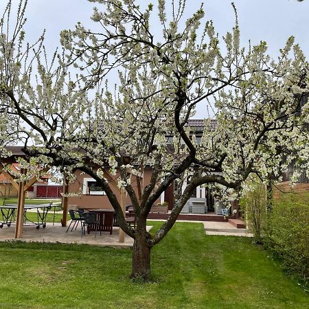 Apartmany U Lipy Tatobity Exterior photo