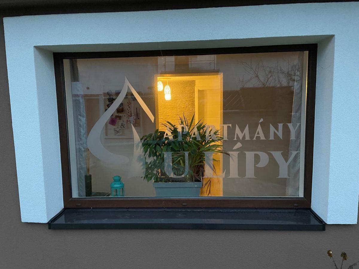 Apartmany U Lipy Tatobity Exterior photo