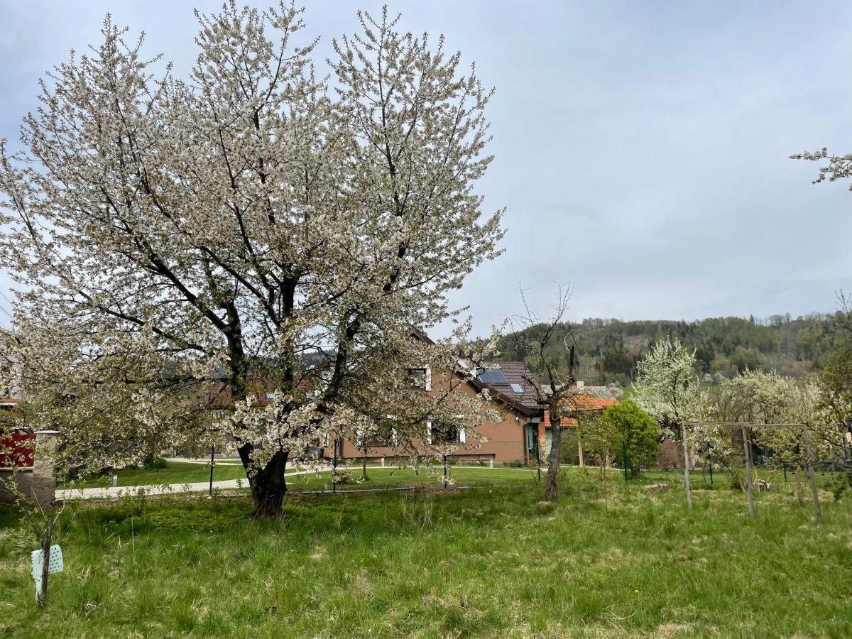 Apartmany U Lipy Tatobity Exterior photo